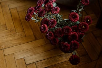 Czy parkiet jest ekologiczny? Certyfikaty FSC i PEFC