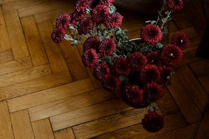 Czy parkiet jest ekologiczny? Certyfikaty FSC i PEFC